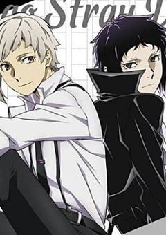 新双黒、仲良いらしい