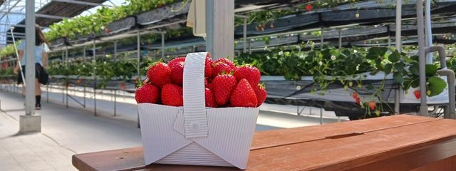 ゆあ🪄💕さんの壁紙画像