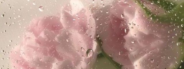 𝑛𝑜𝑛𝑜_✧  誰か通話しようさんの壁紙画像