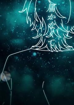 💫 関募 *.゚✞