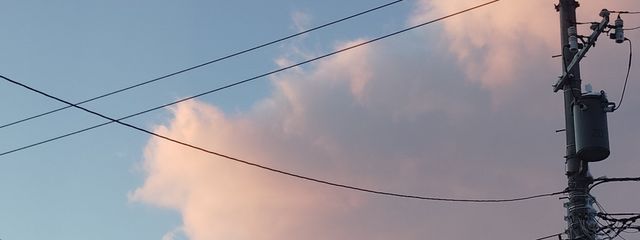 のなさんの壁紙画像