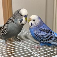 のなさんのアイコン画像