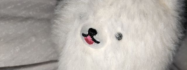 ︎ ︎ ︎ ︎ ︎ ︎ ︎ ︎ ︎ ︎ ︎ ︎   雪乃 さんの壁紙画像