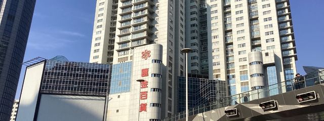 蓮さんの壁紙画像