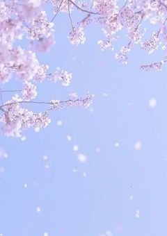 愛されポアロの常連さん❤︎