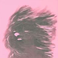 あんずさんのアイコン画像