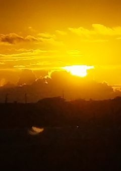 ぷちひなフレンズ刑務所