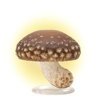 キノコさんのアイコン画像