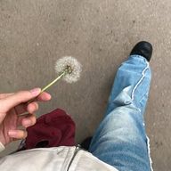 🌱さんのアイコン画像