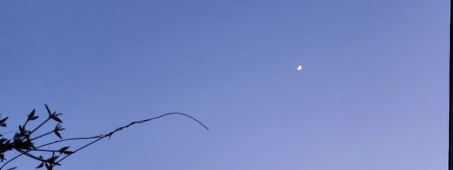 星梨那さんの壁紙画像