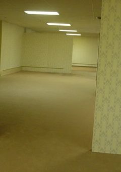 The Backrooms
