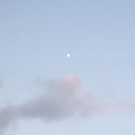 凛さんのアイコン画像