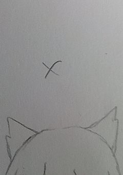 提出BOX