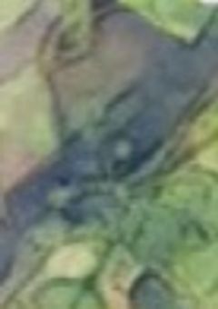 ヘタリアの異能を持ったので