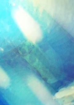 味音痴、文豪の世界へ