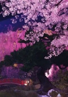 縁を辿って