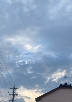 喫茶ポトスの看板娘２号、喧嘩激強だった件。