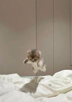 のえるの世界✦