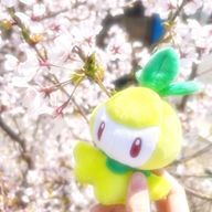しらたまさんのアイコン画像