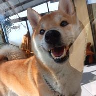 はんなさんのアイコン画像