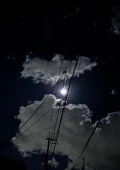 雨上がりの君に、もう一度恋をする。