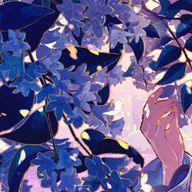 わかめさんのアイコン画像