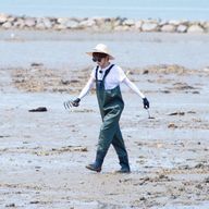 肩が水平線さんのアイコン画像