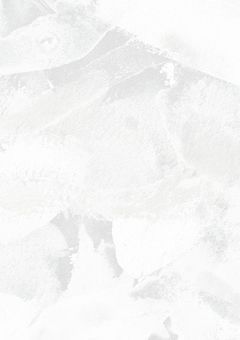 ライブ参戦（予定）