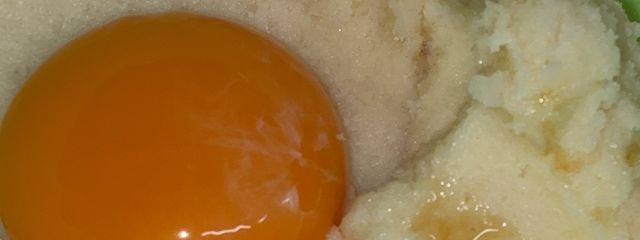 引さんの壁紙画像