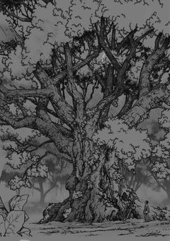 大きな桜の樹の下でまた君と出逢えたら─────