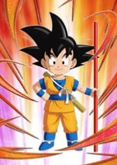 ドラゴンボールの部屋