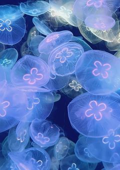 【リメイク版】君の目に映る世界が好きだった