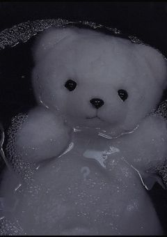 # 取り扱い説明書