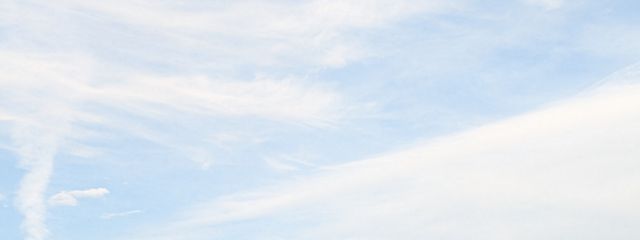 椿さんの壁紙画像