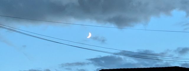 椿さんの壁紙画像