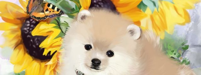 洗濯バサミさんの壁紙画像