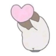 るる#フォロバ絶対!!さんのアイコン画像