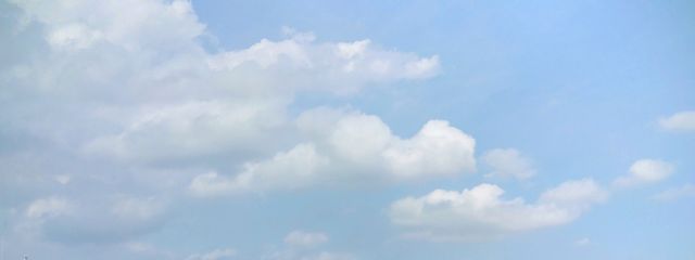  あ い す く り ー む 。さんの壁紙画像