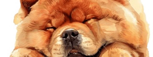 チャムチャムさんの壁紙画像