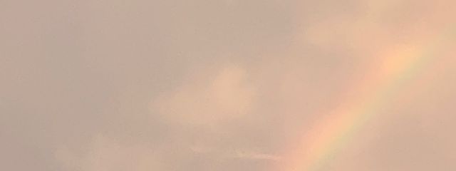 夜桜_さんの壁紙画像