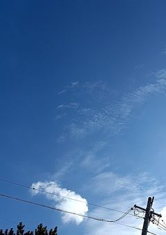 あませがプリ小説辞めるってよ‼️