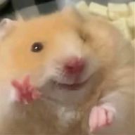 kaniさんのアイコン画像