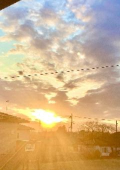 こんな私、見捨ててよ…！