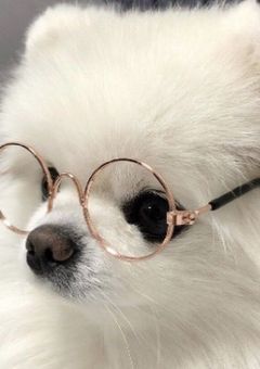 なんで私に頼んでくるの！？