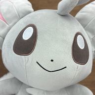 ひかるさんのアイコン画像
