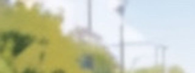すううさんの壁紙画像