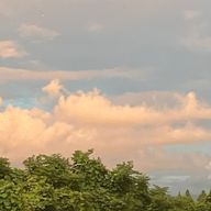 ぱるさんのアイコン画像