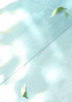 カオスな学園生活