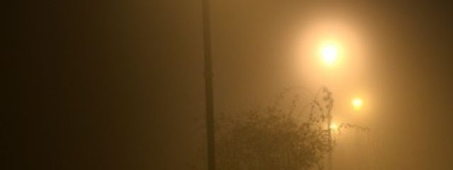 海月さんの壁紙画像