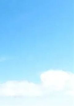 幼馴染み  、推しでした  。